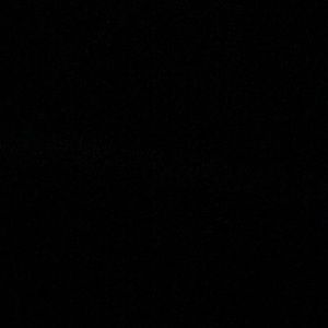 Meet your Posher, Ricky